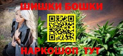 сатива Краснодар