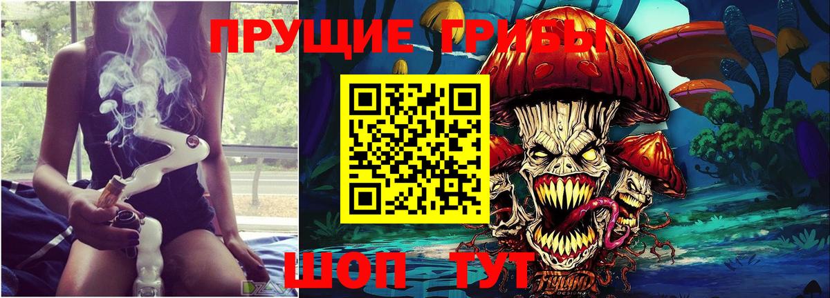 Карталы  Псилоцибиновые грибы MAGIC MUSHROOMS  Вход с VPN 